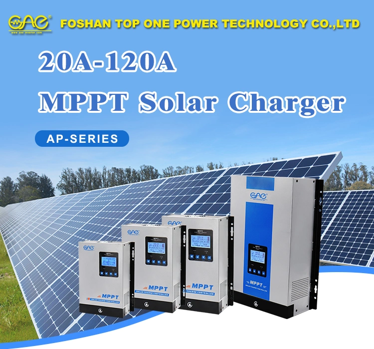 MPPT Hybrid Inverter Quality Gaurantee 30A Solar Charge Controller